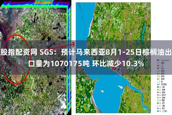 股指配资网 SGS：预计马来西亚8月1-25日棕榈油出口量为1070175吨 环比减少10.3%