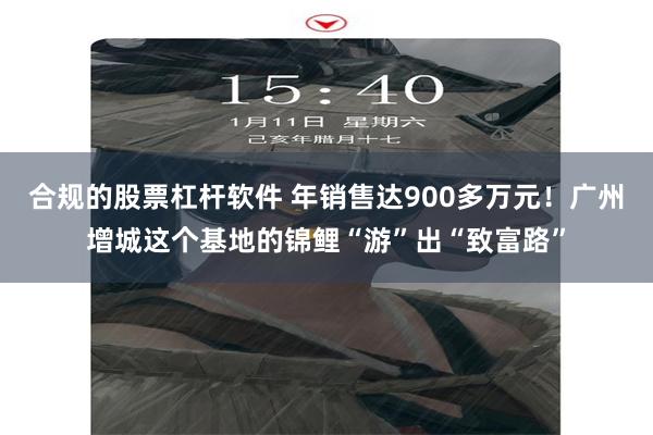 合规的股票杠杆软件 年销售达900多万元！广州增城这个基地的锦鲤“游”出“致富路”