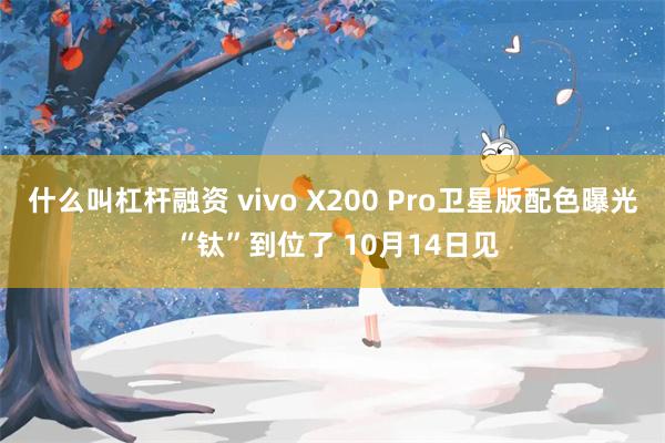 什么叫杠杆融资 vivo X200 Pro卫星版配色曝光 “钛”到位了 10月14日见