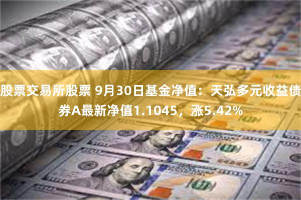 股票交易所股票 9月30日基金净值：天弘多元收益债券A最新净值1.1045，涨5.42%