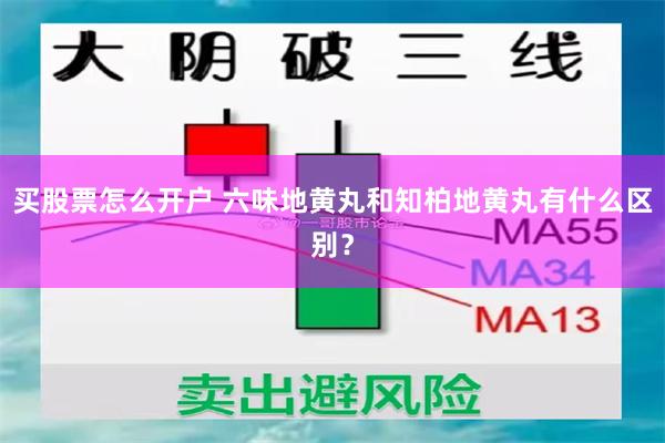 买股票怎么开户 六味地黄丸和知柏地黄丸有什么区别？