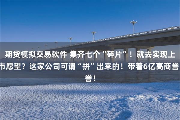 期货模拟交易软件 集齐七个“碎片”！就去实现上市愿望？这家公司可谓“拼”出来的！带着6亿高商誉！