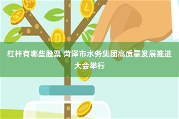 杠杆有哪些股票 菏泽市水务集团高质量发展推进大会举行